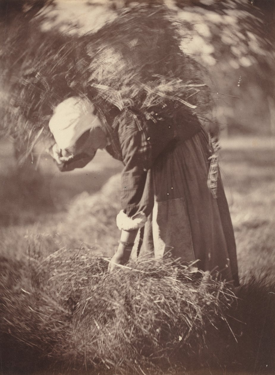 Bonde, c. 1870. av Auguste Giraudon