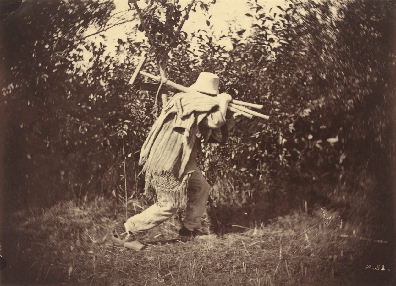 Bonde,ca. 1870 (foto) av Auguste Giraudon