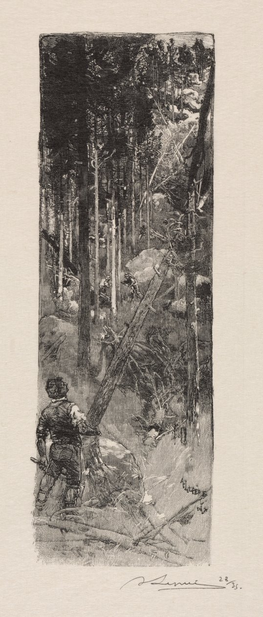 Avverkning av tallar, 1887. av Auguste Louis Lepère