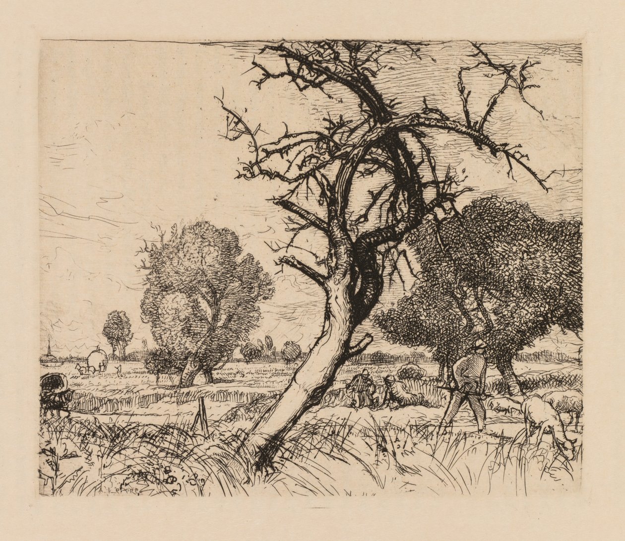 Auguste Lepère: Det döda äppelträdet (Picardie) av Auguste Louis Lepère