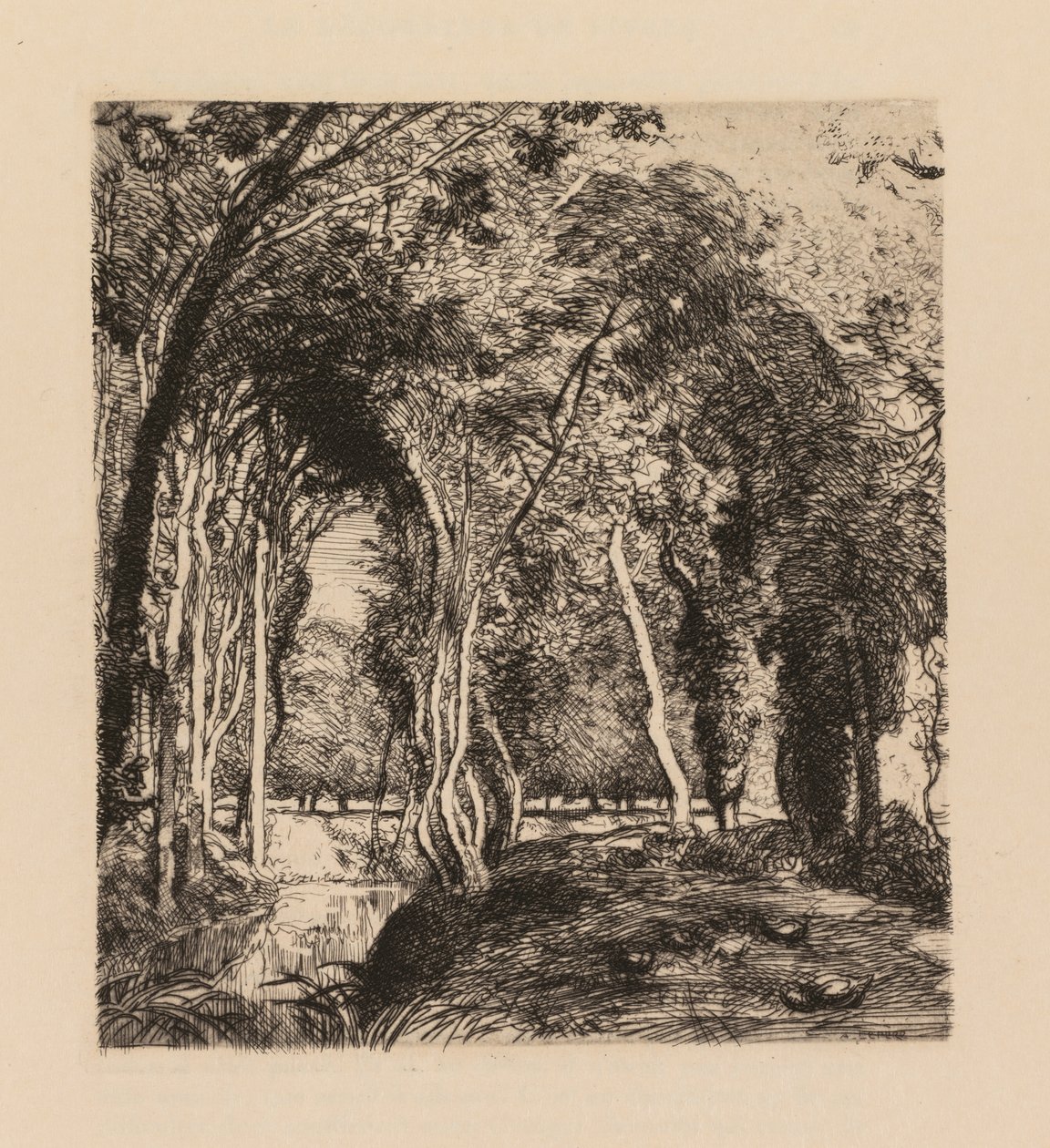 Auguste Lepère: Undervegetation, vid La Rigonette (Vendèe) av Auguste Louis Lepère