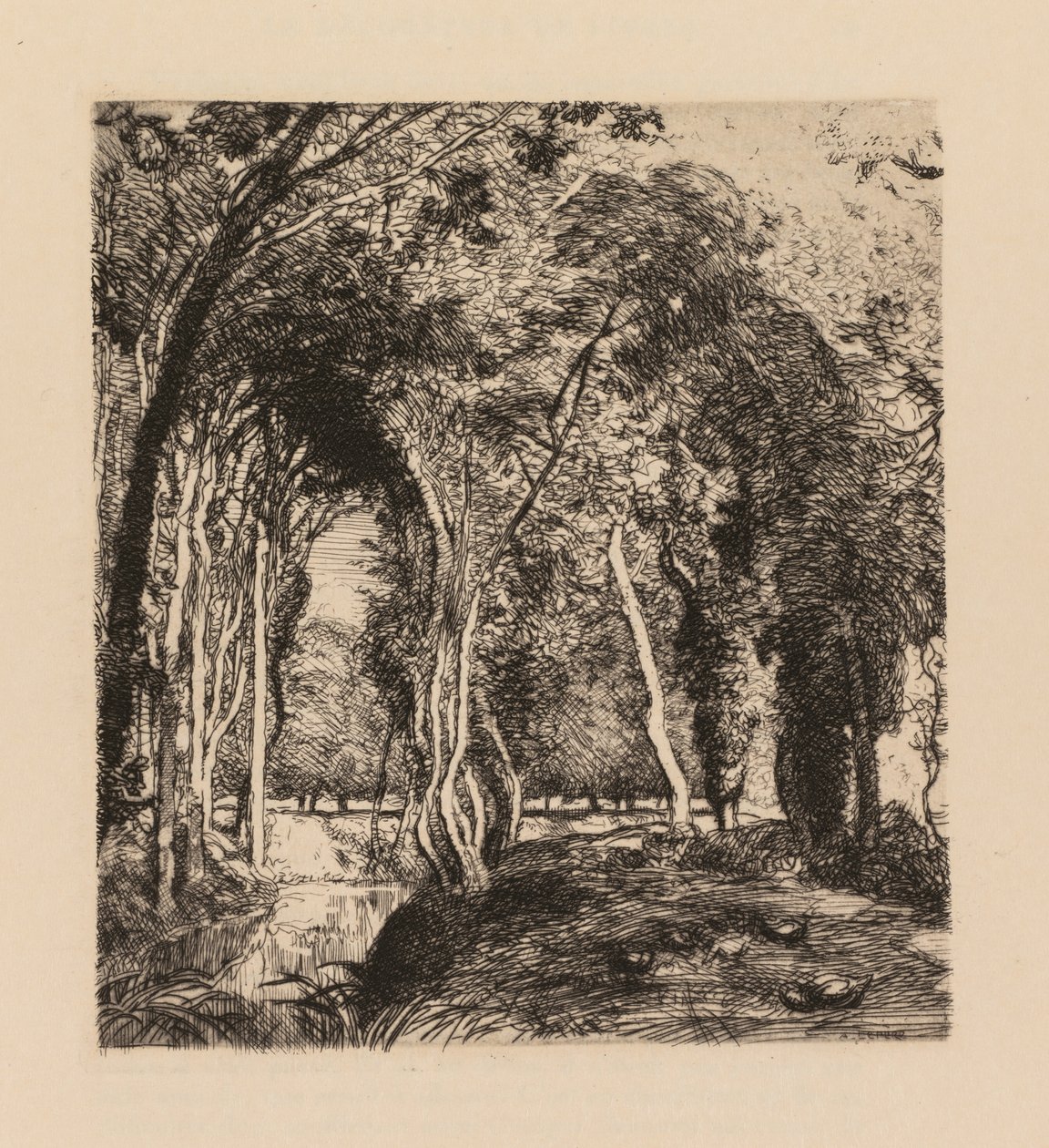 Auguste Lepère: Undervegetation, vid Rigonette Vendèe. av Auguste Louis Lepère