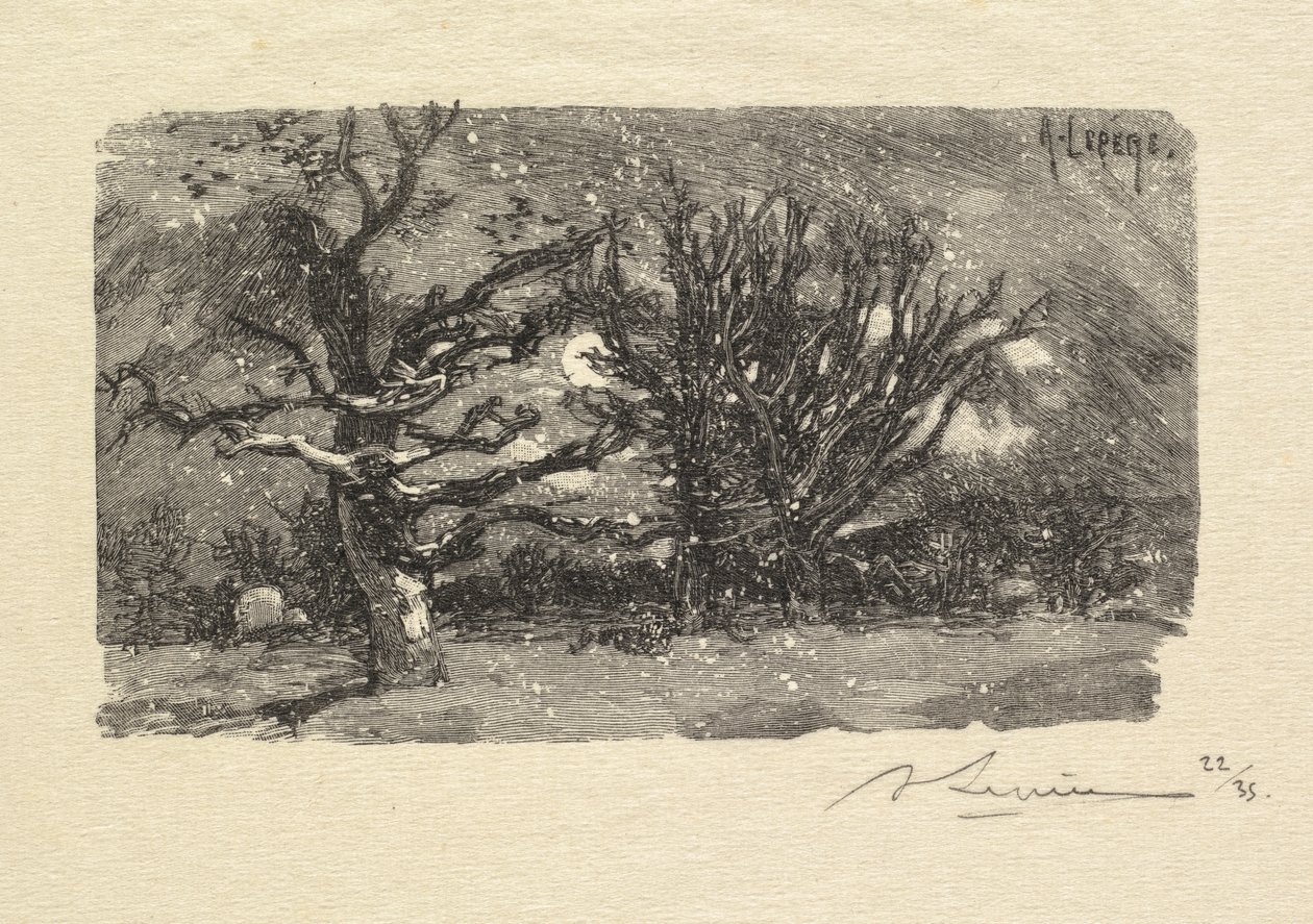 Fontainebleau Forest: Au dormoir de Lantara (La Forêt de Fontainebleau: Au dormoir de Lantara) av Auguste Louis Lepère