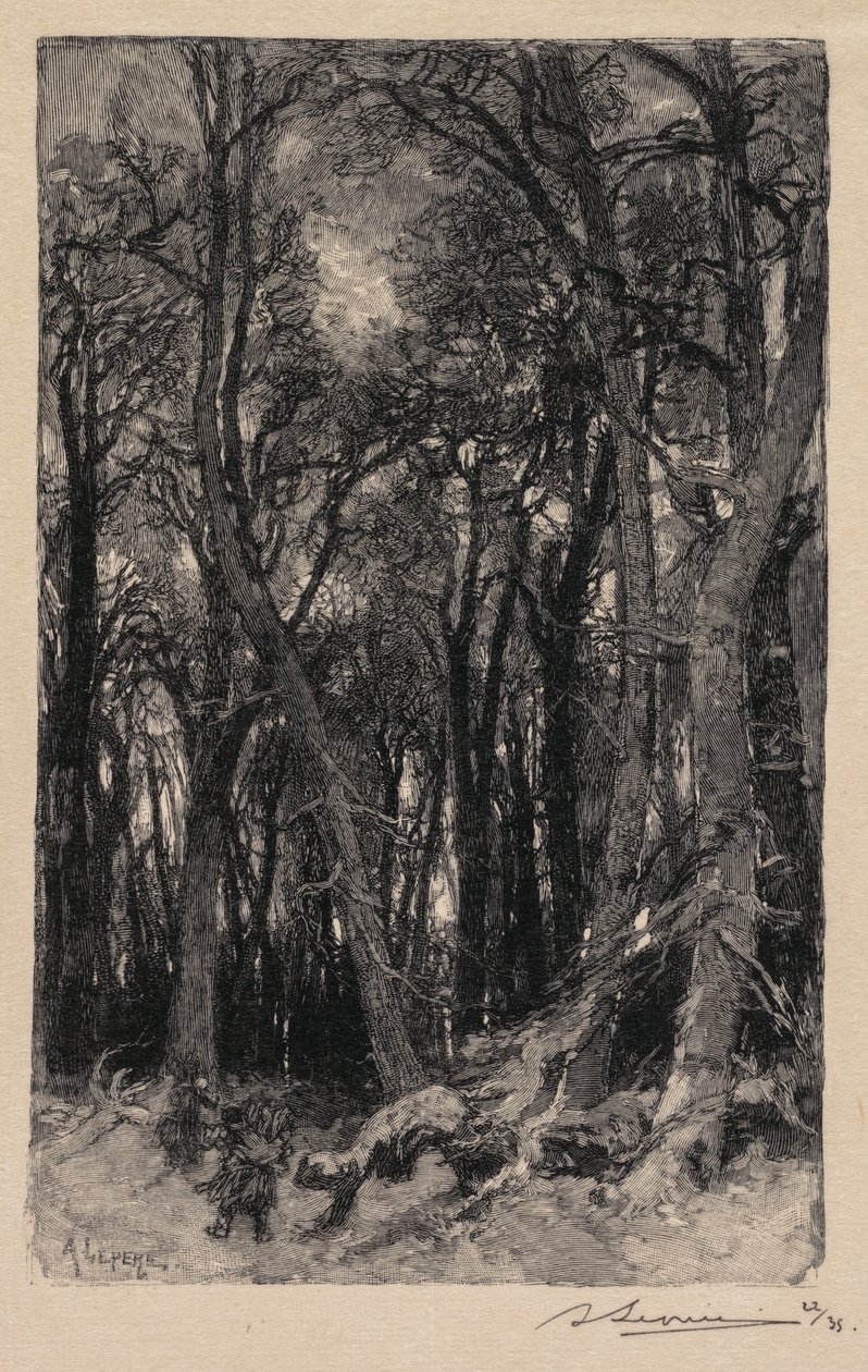 Fontainebleau-skogen: Bas-Bréau Skogen i Fontainebleau: Le Bas-Bréau, 1890. av Auguste Louis Lepère