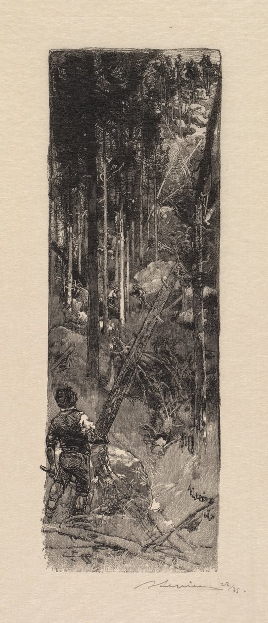 Fontainebleau-skogen: huggning av tallar La Forêt de Fontainebleau: Abattage des pines, 1890. av Auguste Louis Lepère