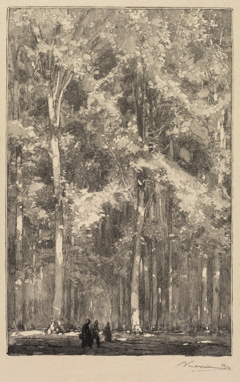 Fontainebleau-skogen: Morgon, korsning av vägen till Forts de Marlotte..., 1890. av Auguste Louis Lepère