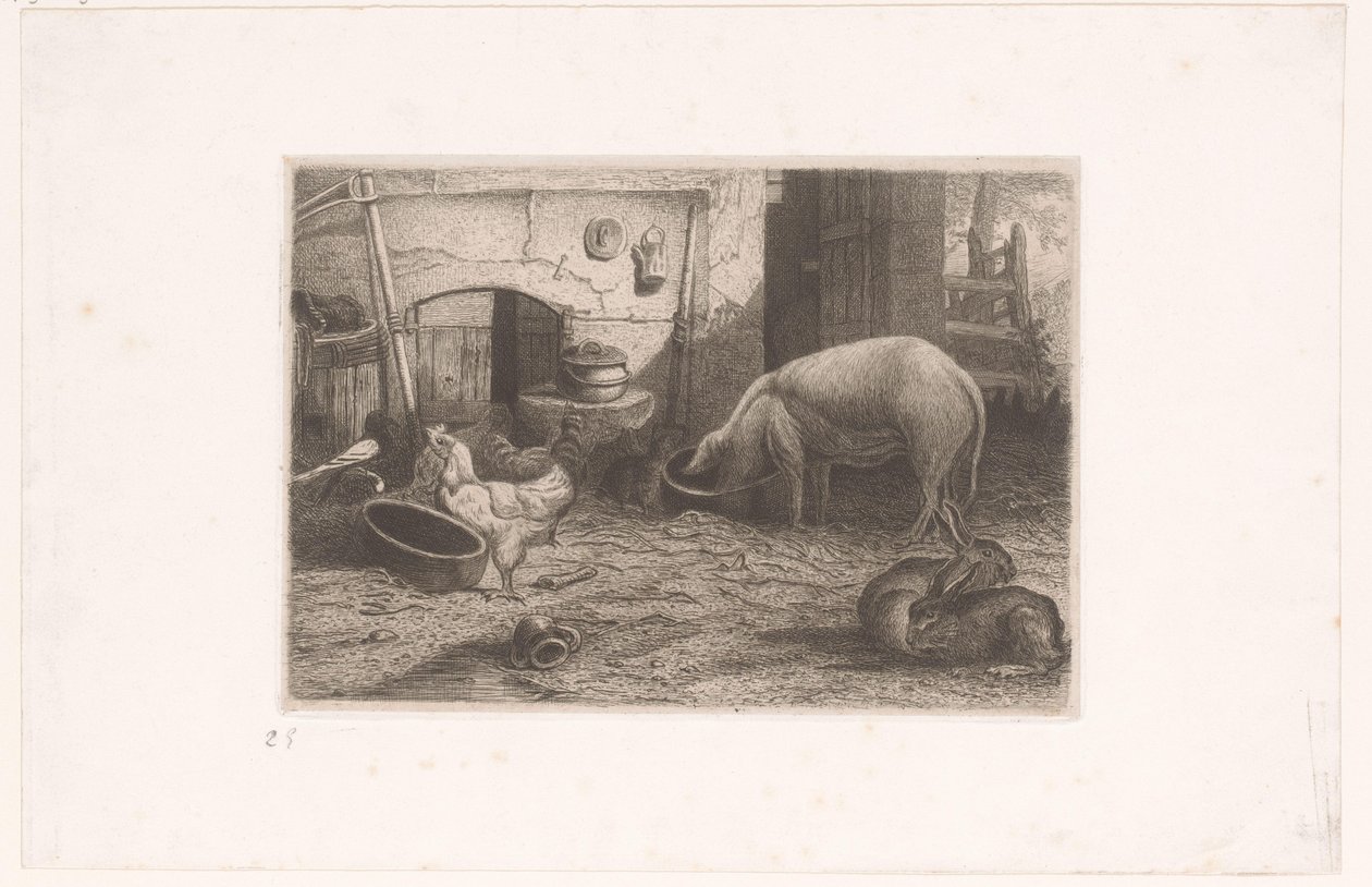 Gris, höns och kaniner i en lada av Auguste Numans (attributed to)