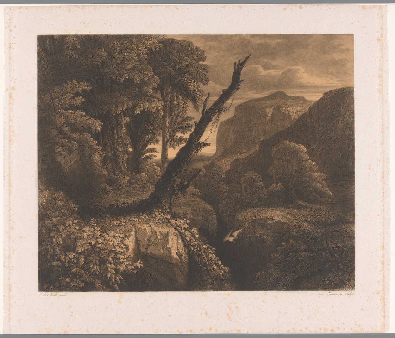 Bergslandskap med fågel som flyger genom en ravin Dix eaux-fortes par A. Numans (serietitel) Ansikten av Auguste Numans till andra artister (serietitel) av Auguste Numans