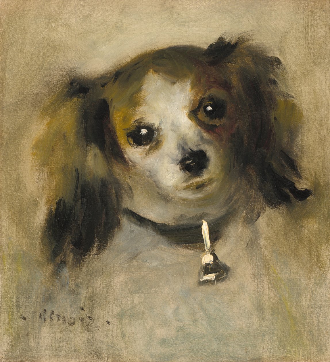 Huvud av en hund av Auguste Renoir