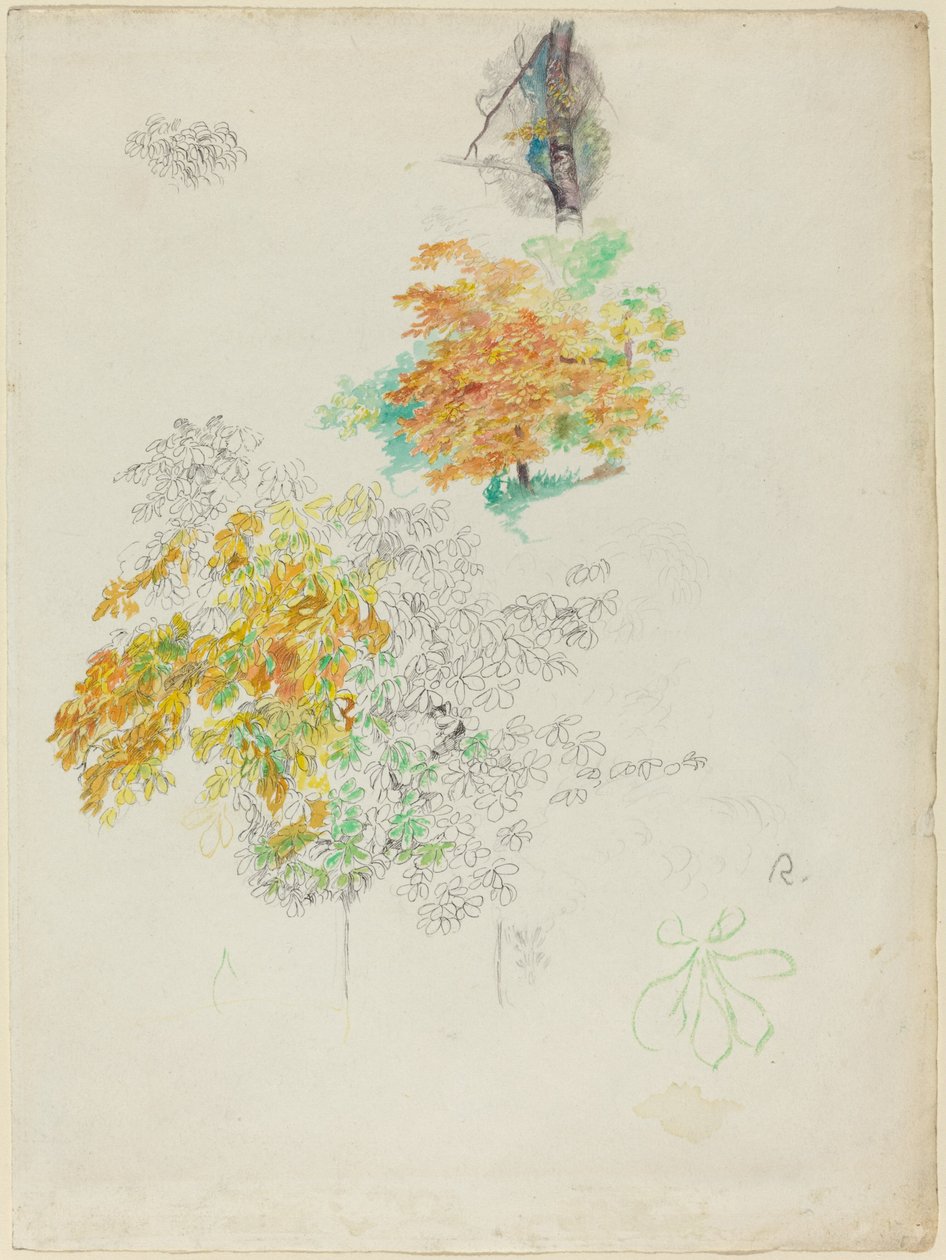 Studier av träd av Auguste Renoir