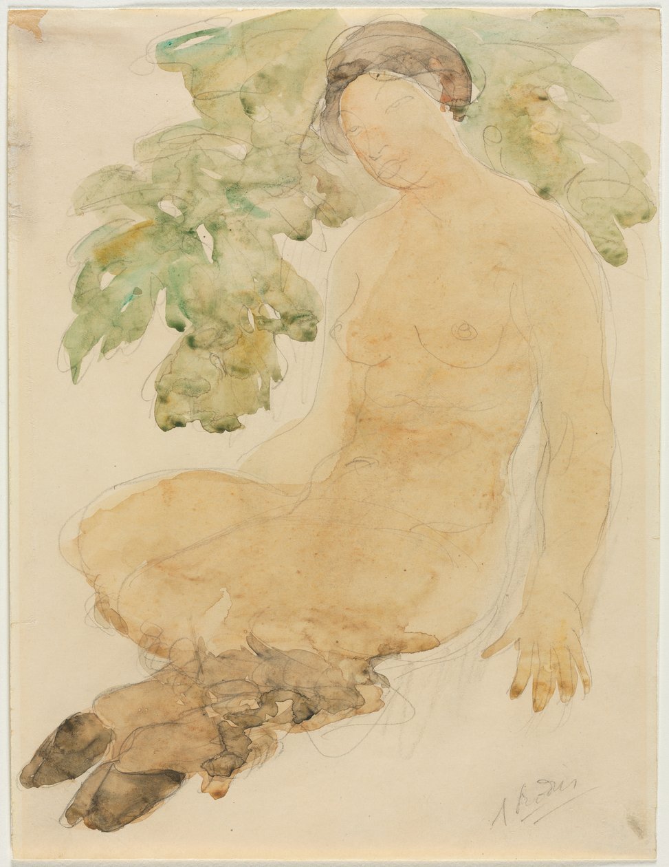 Faunesse, ca 1905 (akvarell över grafit) av Auguste Rodin