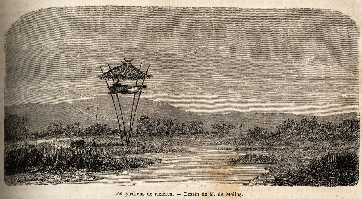 En risvakt, nära Batavia (dagens Jakarta). Teckning av M. de Molins, för att illustrera hans resa till Java av Auguste de Molins