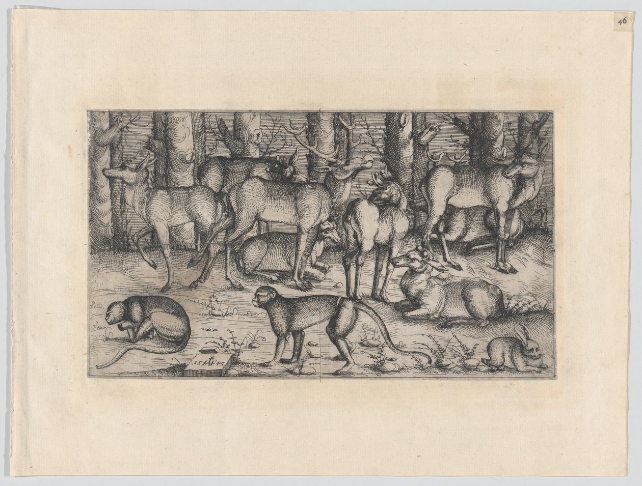 Hjortar i skogen, 1545. av Augustin Hirschvogel
