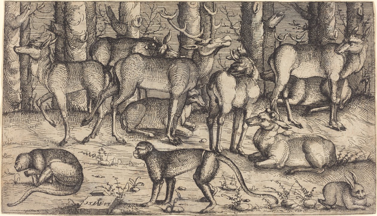Hjortar i skogen, 1545. av Augustin Hirschvogel