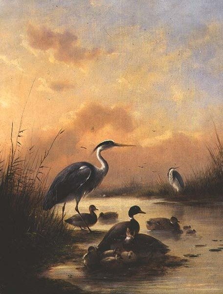 En familj av gräsand och två hägrar (par 77887) av Augustus Knip