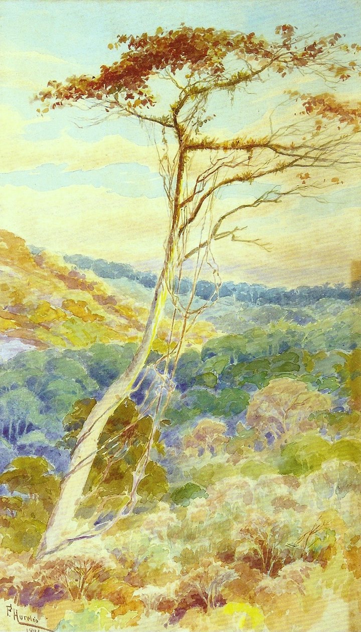 Landscape av Aurelio de Figueiredo