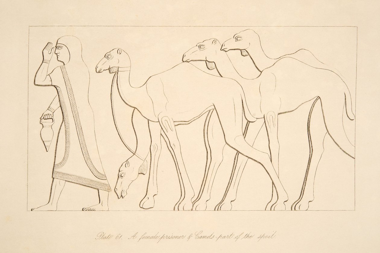 En kvinnlig fånge och kamel, illustration från Monuments of Nineveh, 1849 av Austen Henry Layard