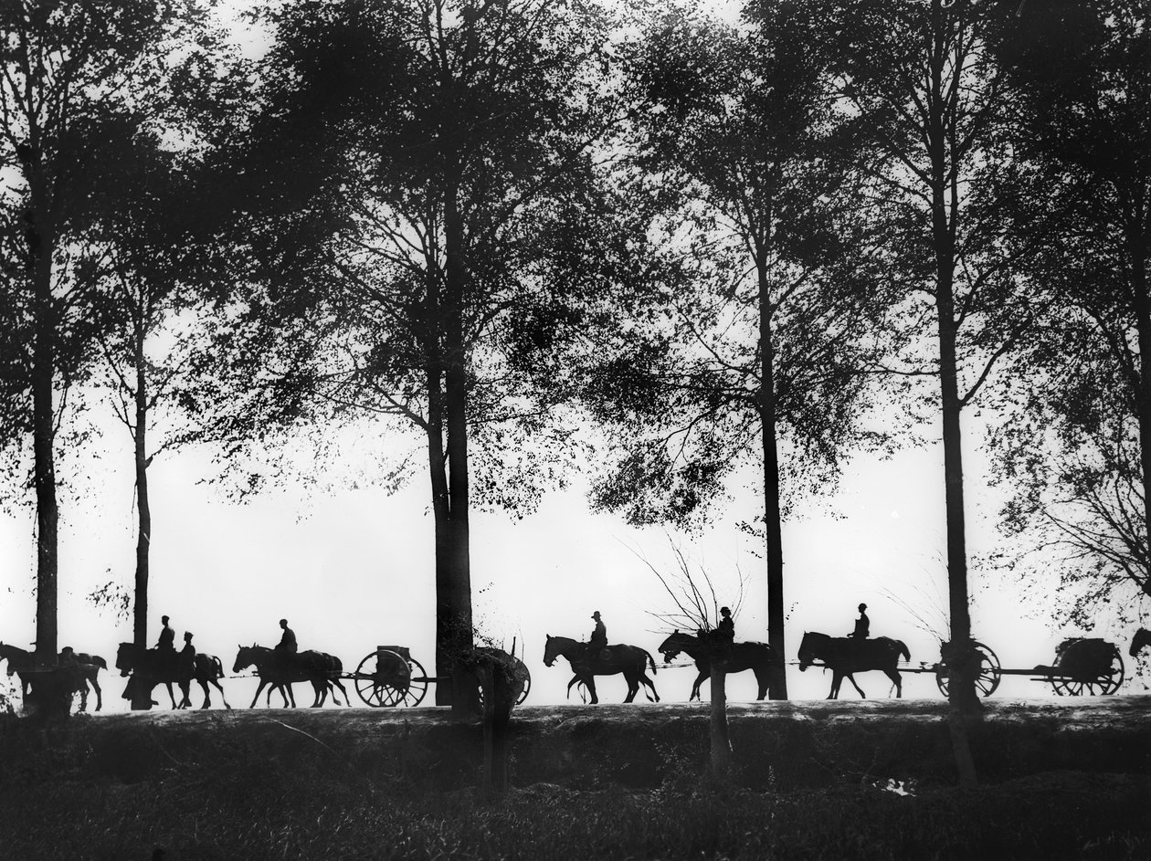 En vy, i siluett, av australiensiska artilleripjäser laddade med ammunition som fortsätter längs Ypres Road, 25 september 1917 av Australian Photographer