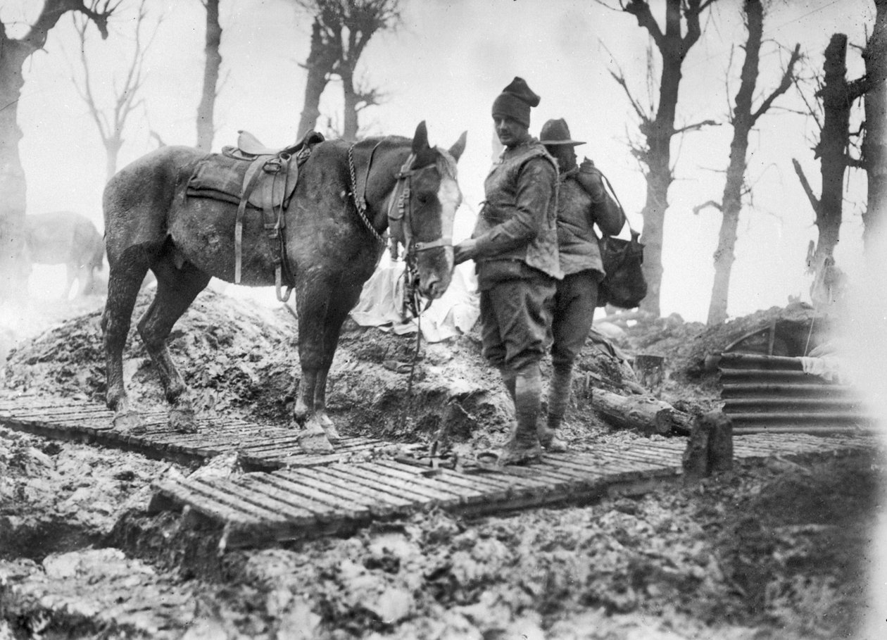En artillerihäst som användes för att transportera ammunition till vapnen och dess oidentifierade australiensiska förare på en duckboardbana mellan Mametz och Montauban, december 1916 av Australian Photographer