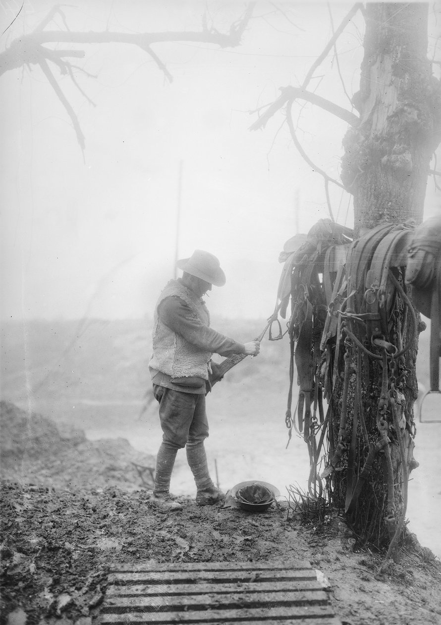 En oidentifierad australisk artilleriförare som rensar lera från sitt teams sele i ett ställ nära Mametz, december 1916 av Australian Photographer
