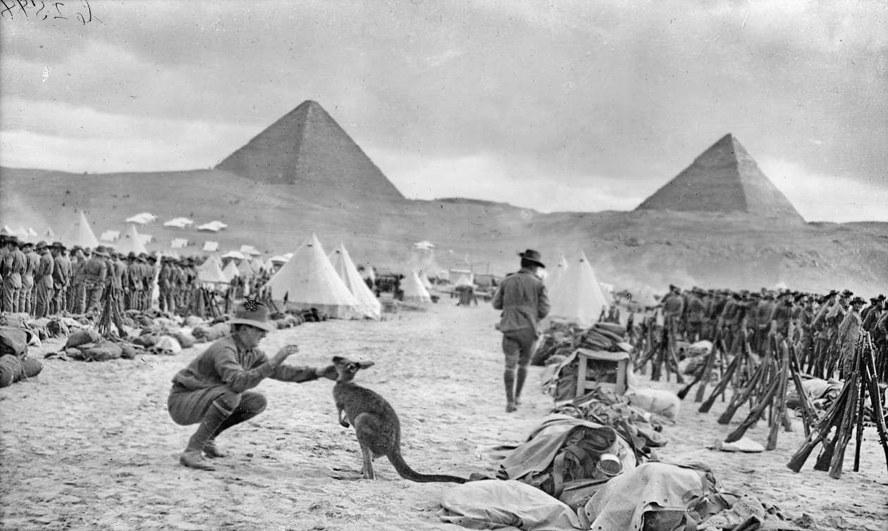 Linjer från de australiensiska 9:e och 10:e bataljonerna vid Mena Camp, med blick mot pyramiderna, december 1914 av Australian Photographer