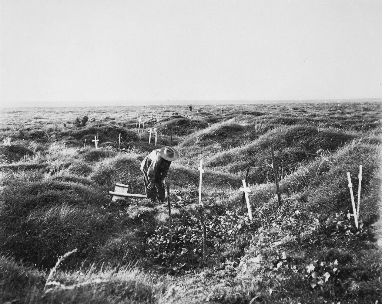 Utsikt över spridda australiska gravar längs OG1-linjen på slagfältet i Pozieres, 16 september 1917 av Australian Photographer