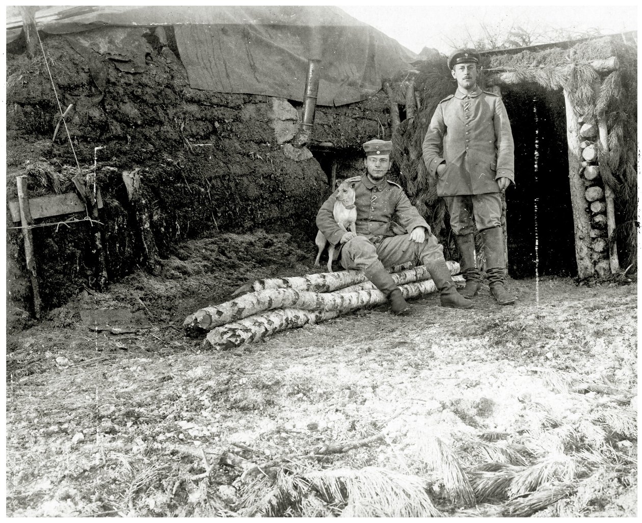 Österrikiska soldater med hund, 1914-18 av Austrian Photographer