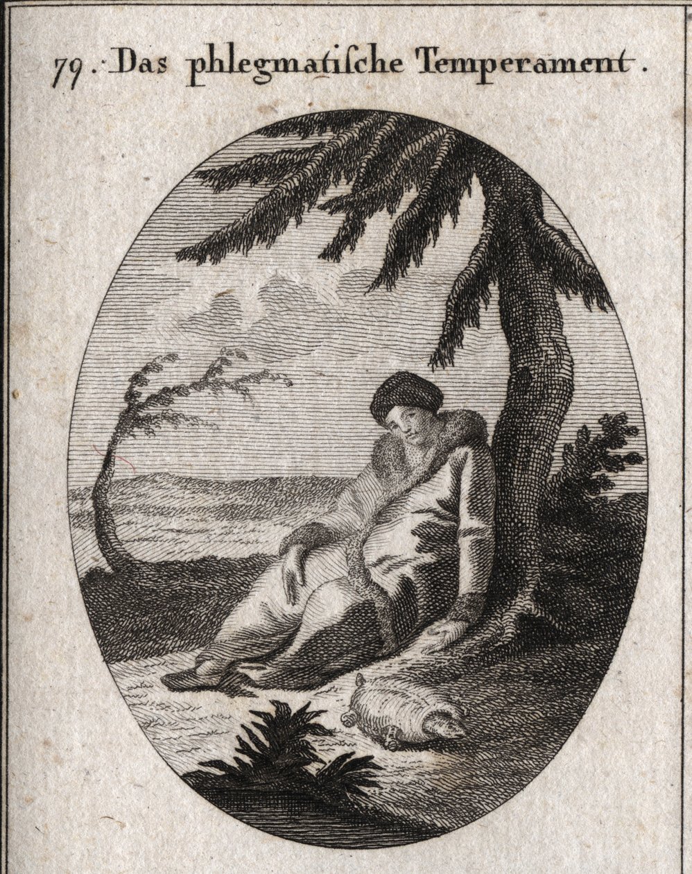 Allegori av flegmatisk hy. Sköldpaddan är egenskapen för dess långsamhet. Gravyr i "" ikonologi eller idéer från området passioner och allegorier avbildade för ritare, målare, poeter, forskare, lärare och vänner högre av Austrian School
