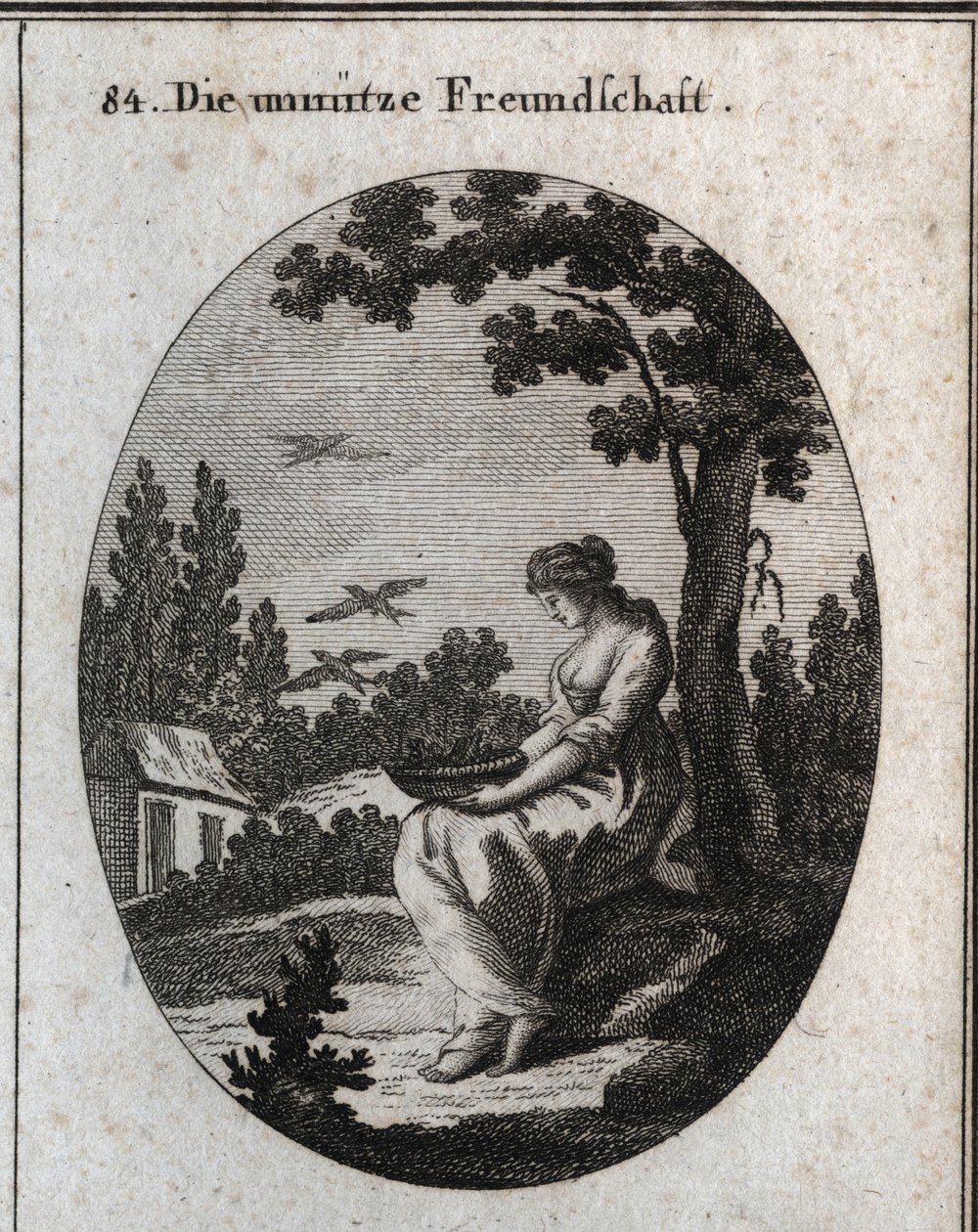 Allegori om värdelösa vänskaper som håller ett bo som låter svalor flyga iväg. Gravyr i "" ikonologi eller idéer från området passioner och allegorier avbildade för ritare, målare, poeter, forskare, pedagoger och vänner till högre personer av Austrian School