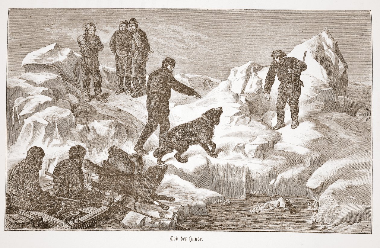 Jakt med hundar, 1876 av Austrian School