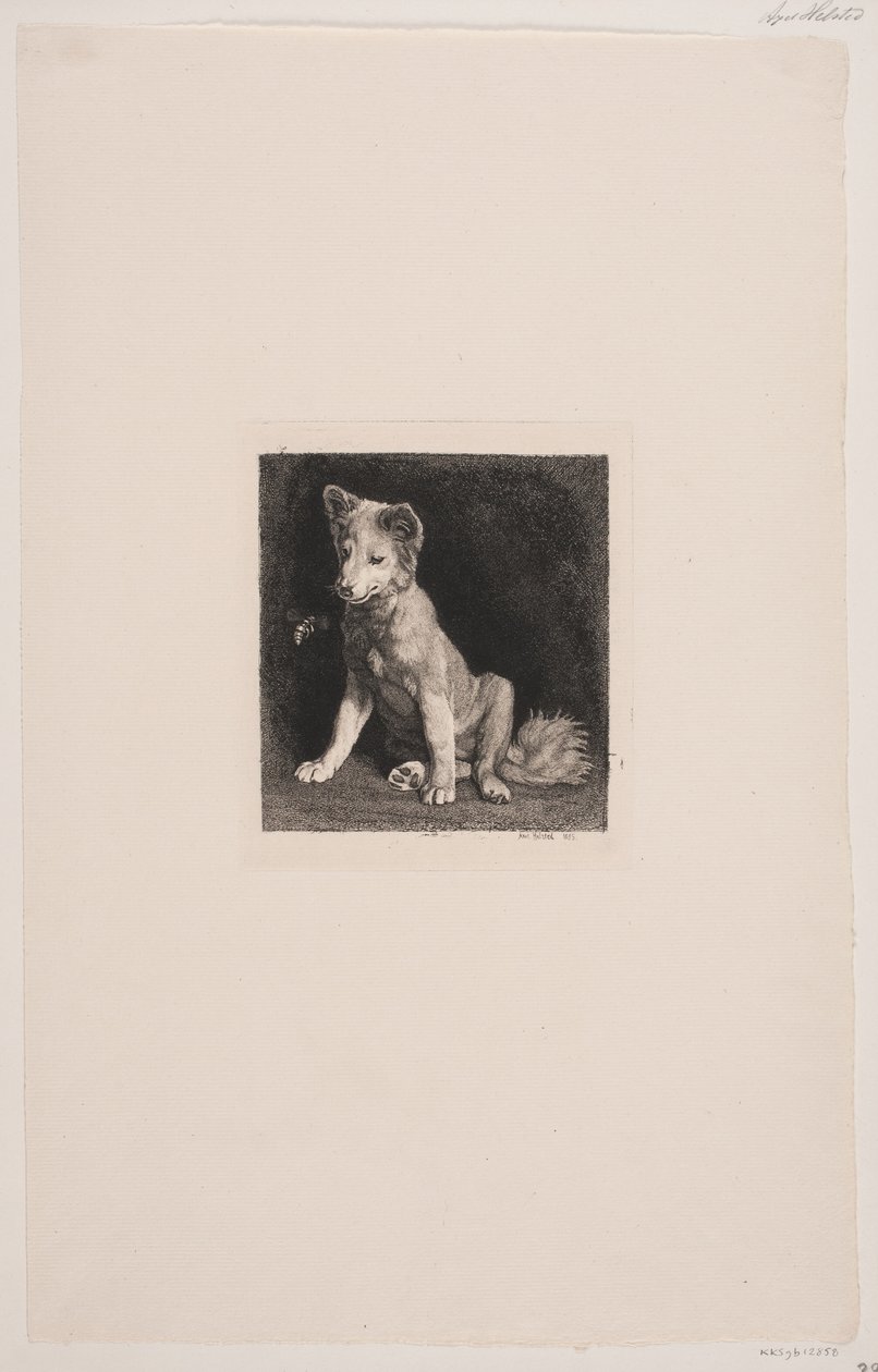 Hunden och biet av Axel Helsted