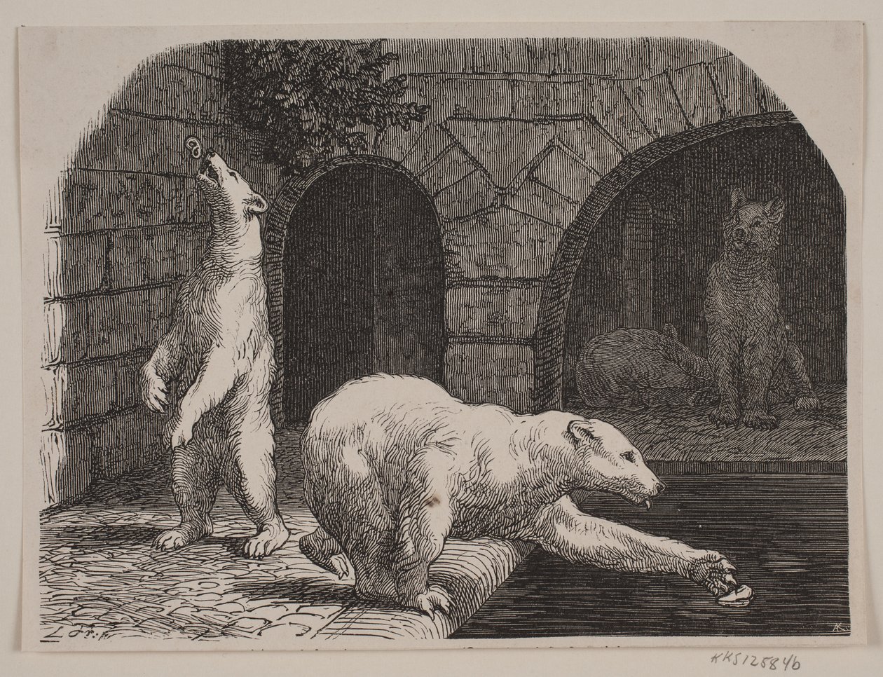 Björnar i Jardin des Plantes av Axel Theodor Kittendorff
