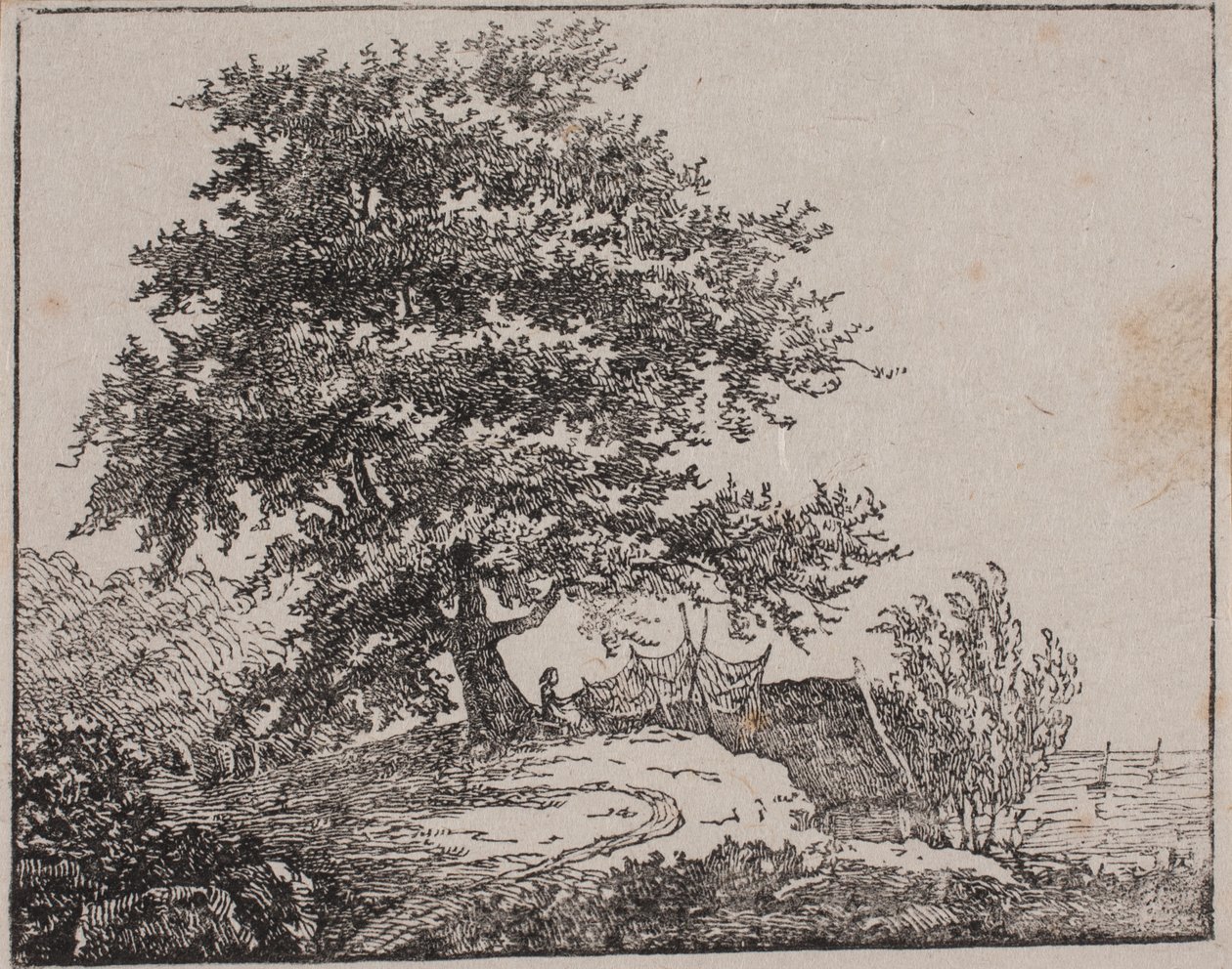 Träd på en klippa vid havet av Axel Theodor Kittendorff