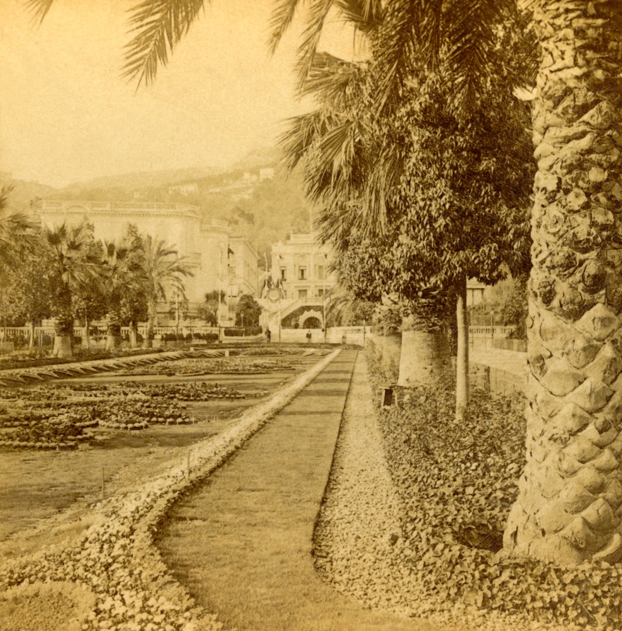 Monte Carlo, tittar från kasinot, 1897. av B. W. Kilburn
