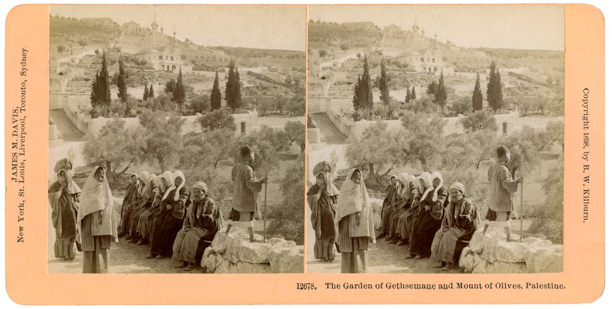 Getsemane trädgård och Oljeberget, Palestina, 1898. av B. W. Kilburn