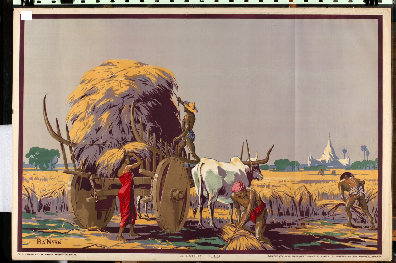 A Paddy Field, från serien 