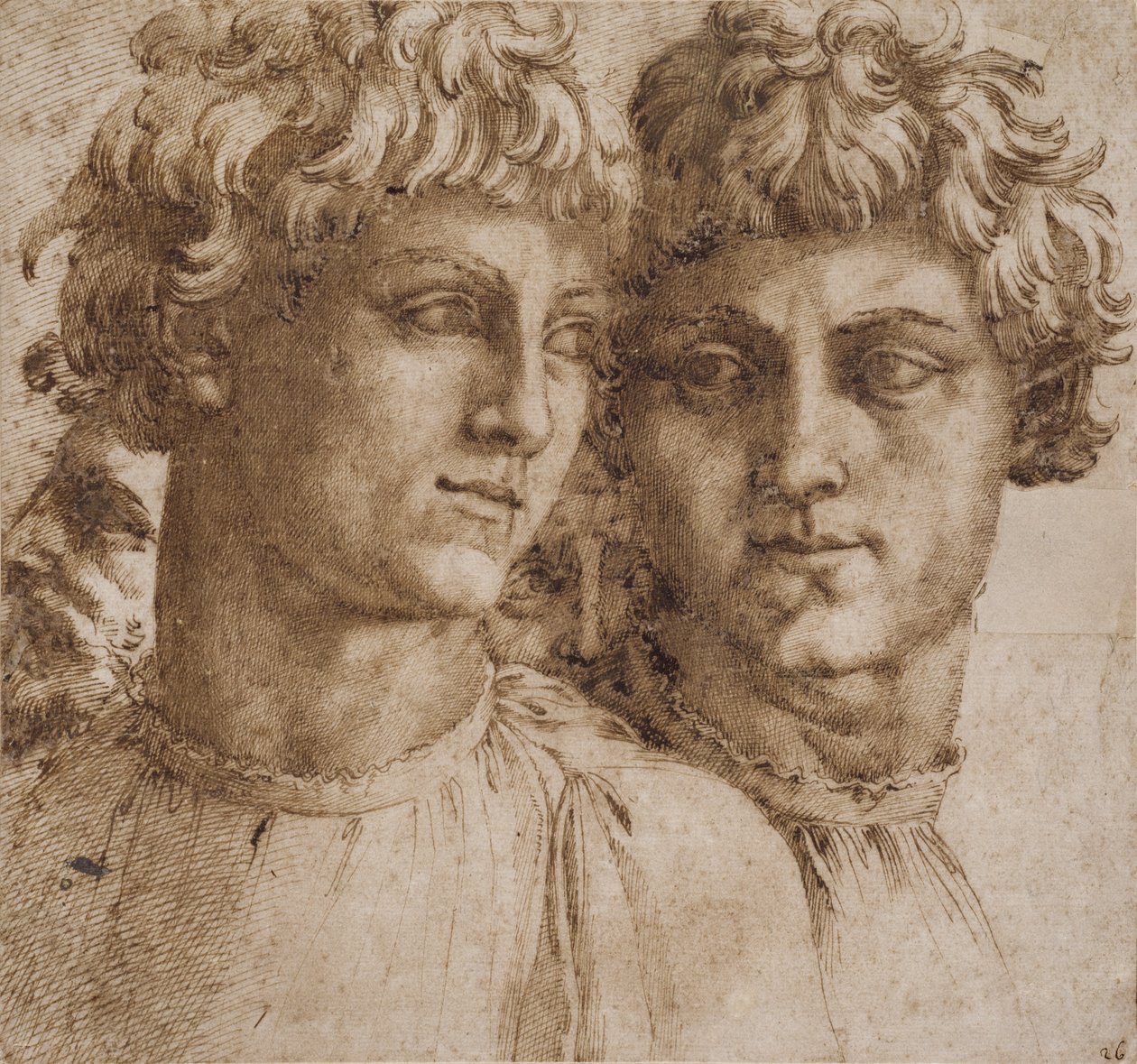 Två studier av chefen för en ungdom, c.1550 av Baccio Bandinelli