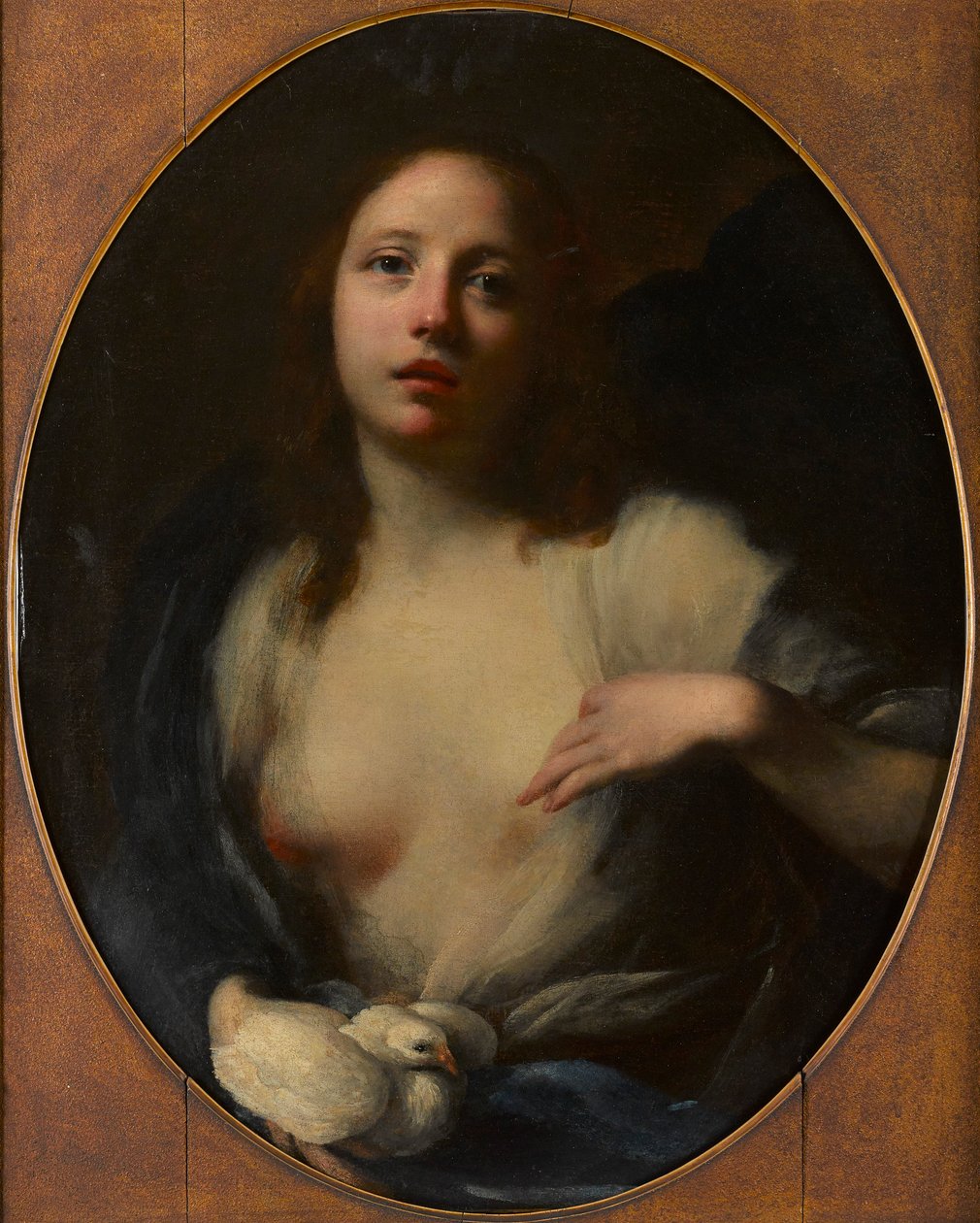 Målning av en ung flicka med vit duva (olja på duk) av Baldassare (1611 89) Franceschini