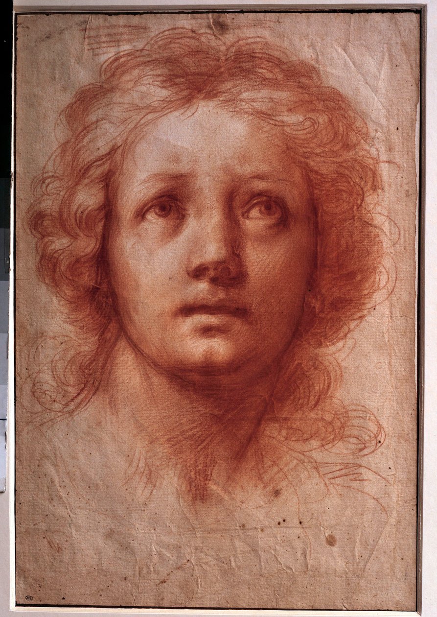 Studie av en kvinnas huvud, den fasta blicken vänds uppåt Ritning i bläck och tvätt av Franceschini Baldassare dit il Volterrano (1611-1689). 1600-talet. Dämpa. 0,42x0,28m. Paris, Louvren av Baldassare  Franceschini