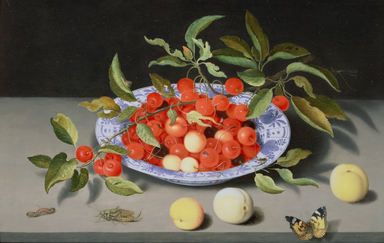 Stilleben av körsbär och persikor av Balthasar van der Ast