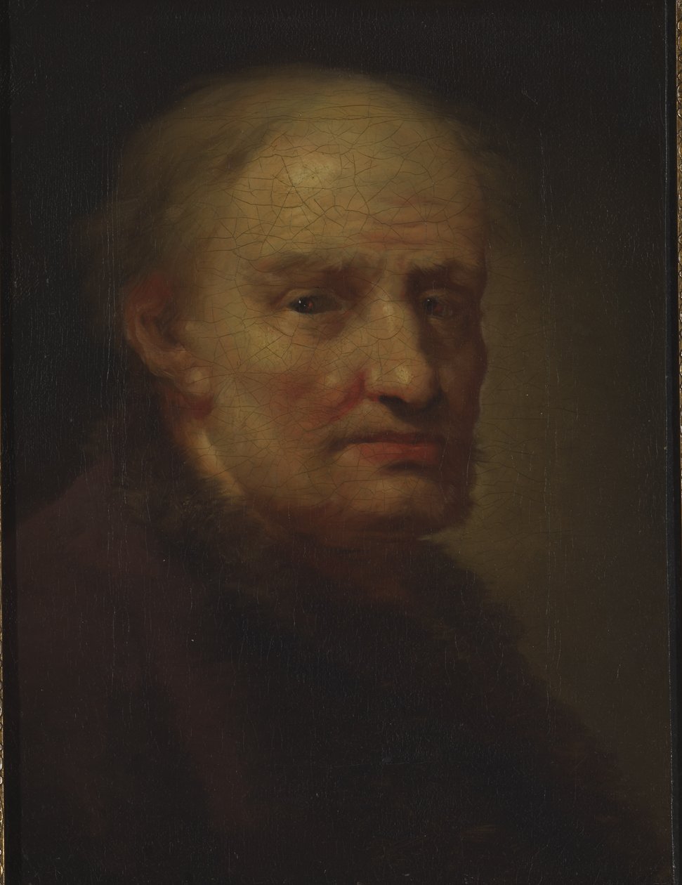 Head of an Old Man (olja på duk) av Balthasar Denner