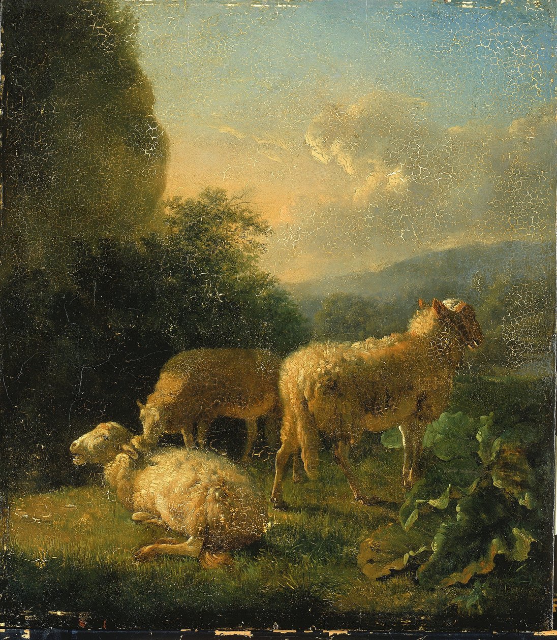 Får av Balthasar Paul Ommeganck