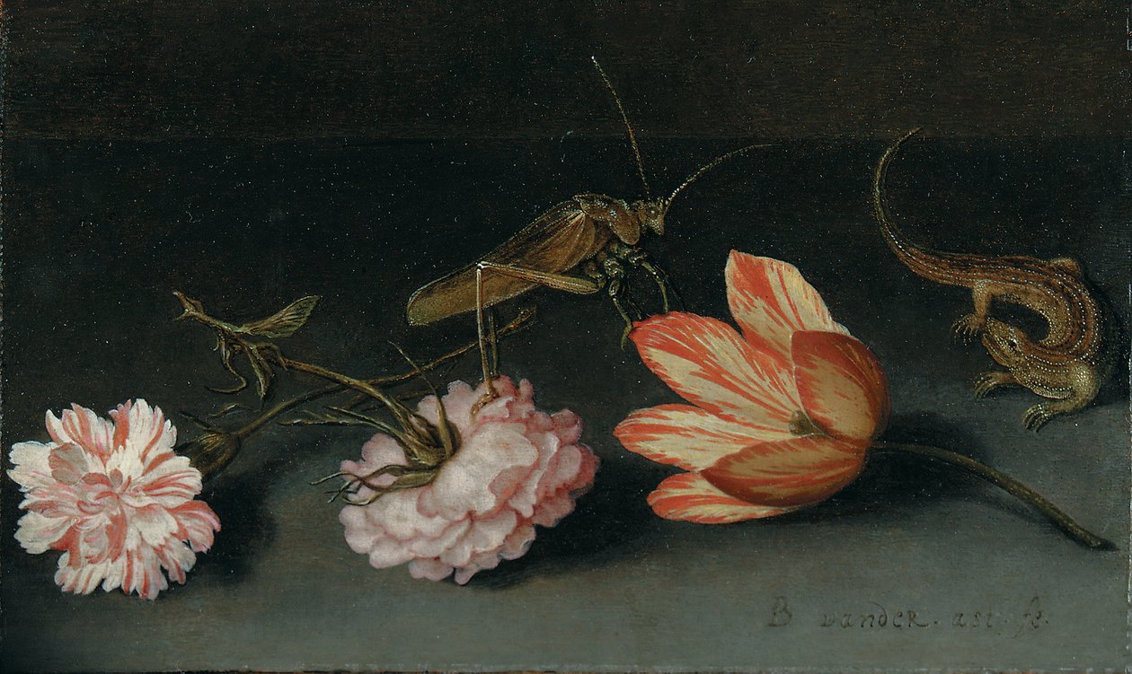 Nejlikor, en papegojtulpan, en gräshoppa och en ödla på en avsats av Balthasar van der Ast