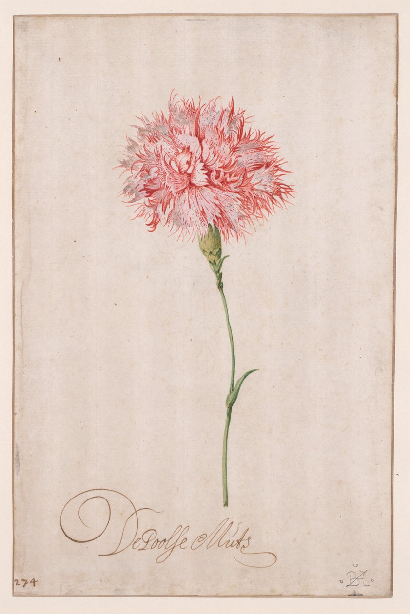 Den polska hatten av Balthasar van der Ast