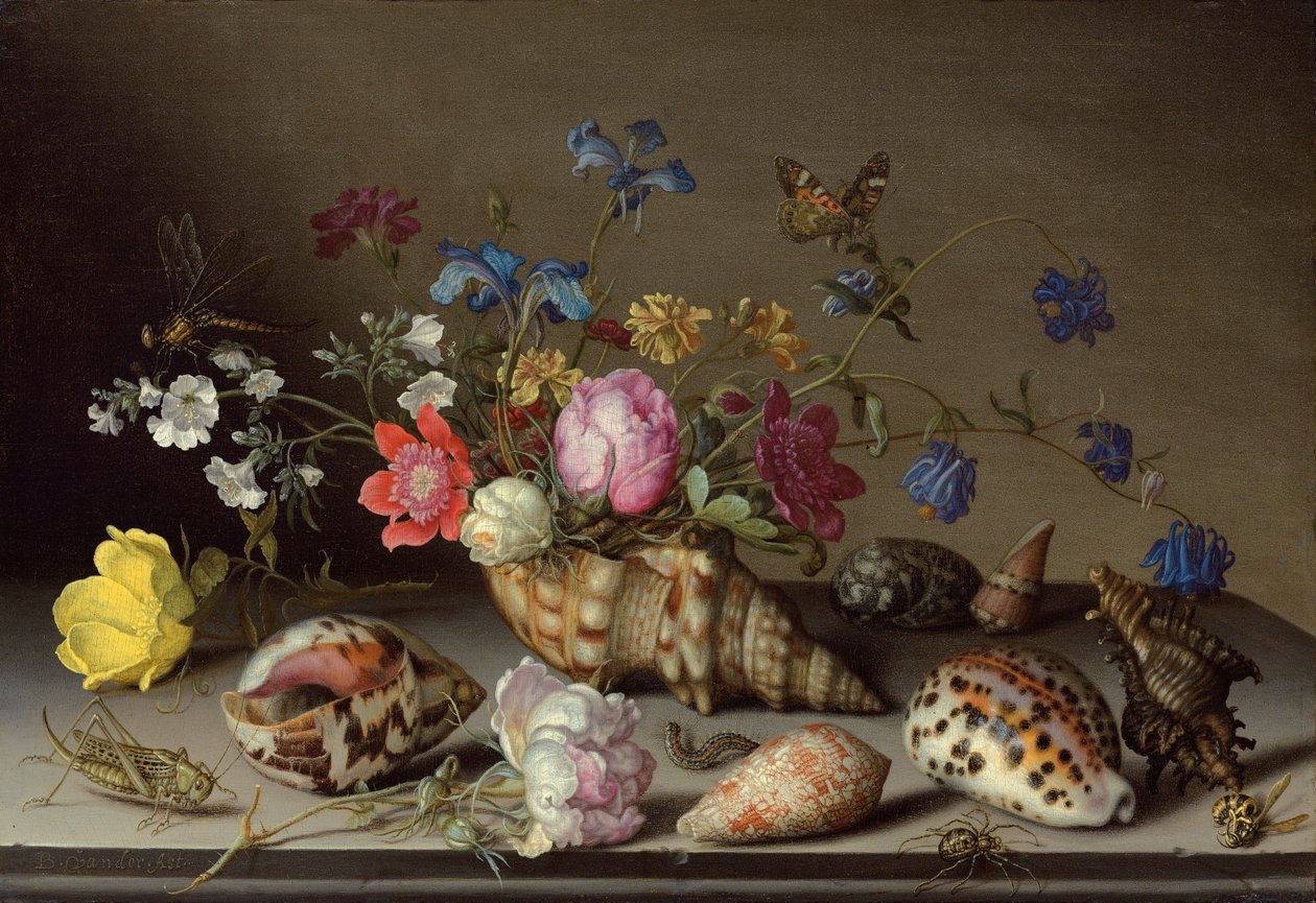 Blommor, snäckor och insekter på en stenkant av Balthasar van der Ast