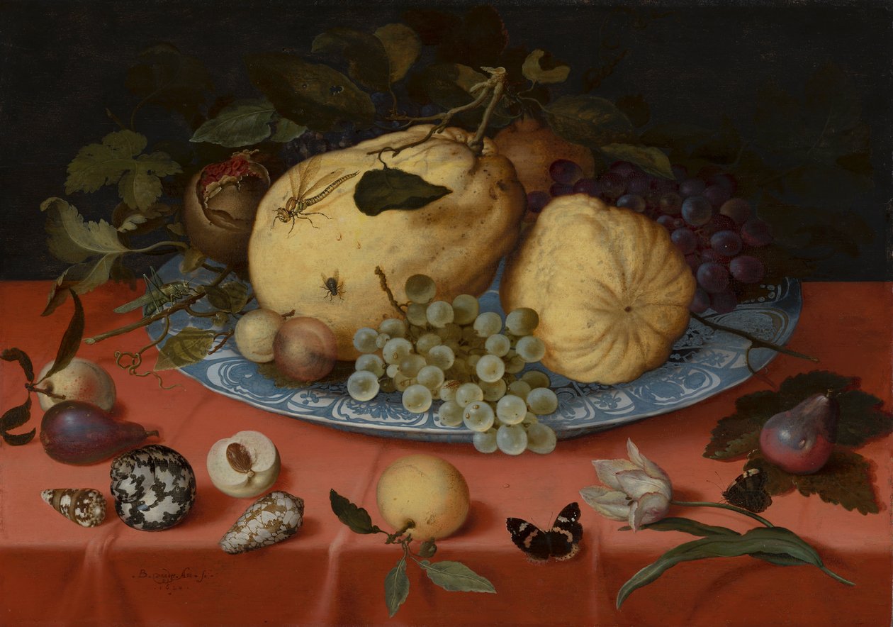 Fruktstilleben med snäckor och tulpan av Balthasar van der Ast