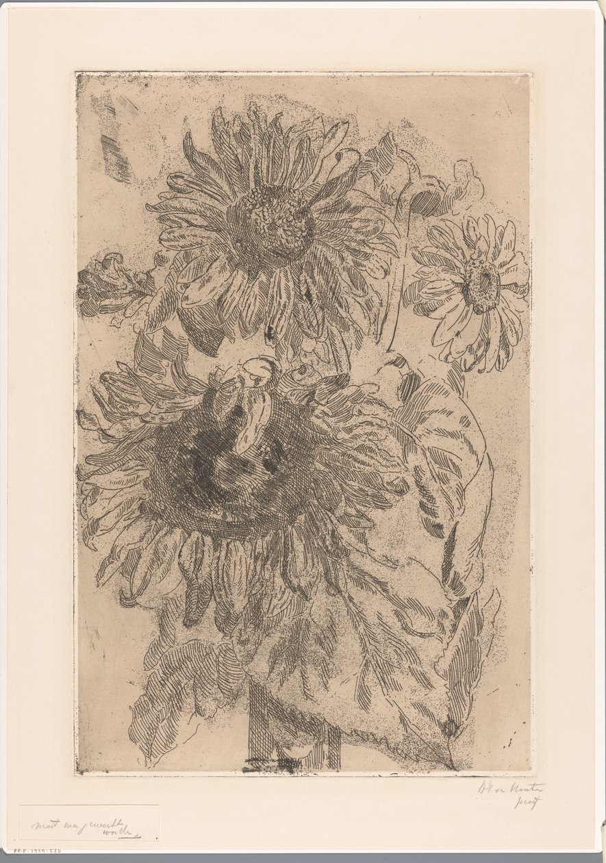 Tre solrosor i en vas av Barbara Elisabeth van Houten (signed by artist)