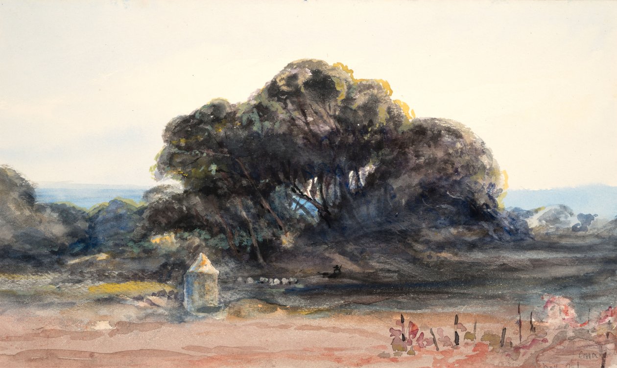 Landskap: Pine och Small Turret (akvarell och grafit på vävt papper) av Barbara Leigh Smith Bodichon