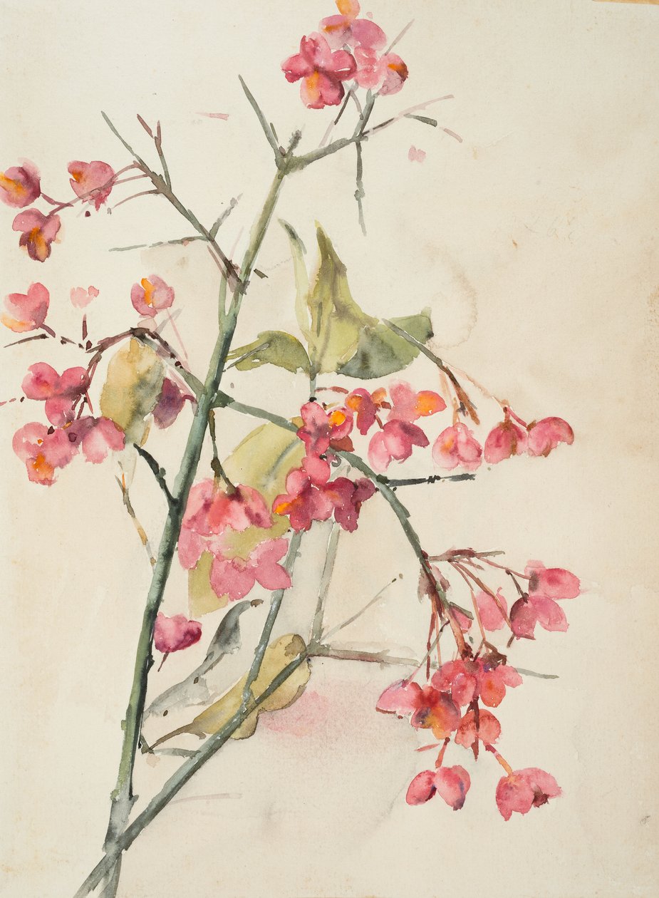 Rosa blommor (akvarell på papper) av Barbara Leigh Smith Bodichon