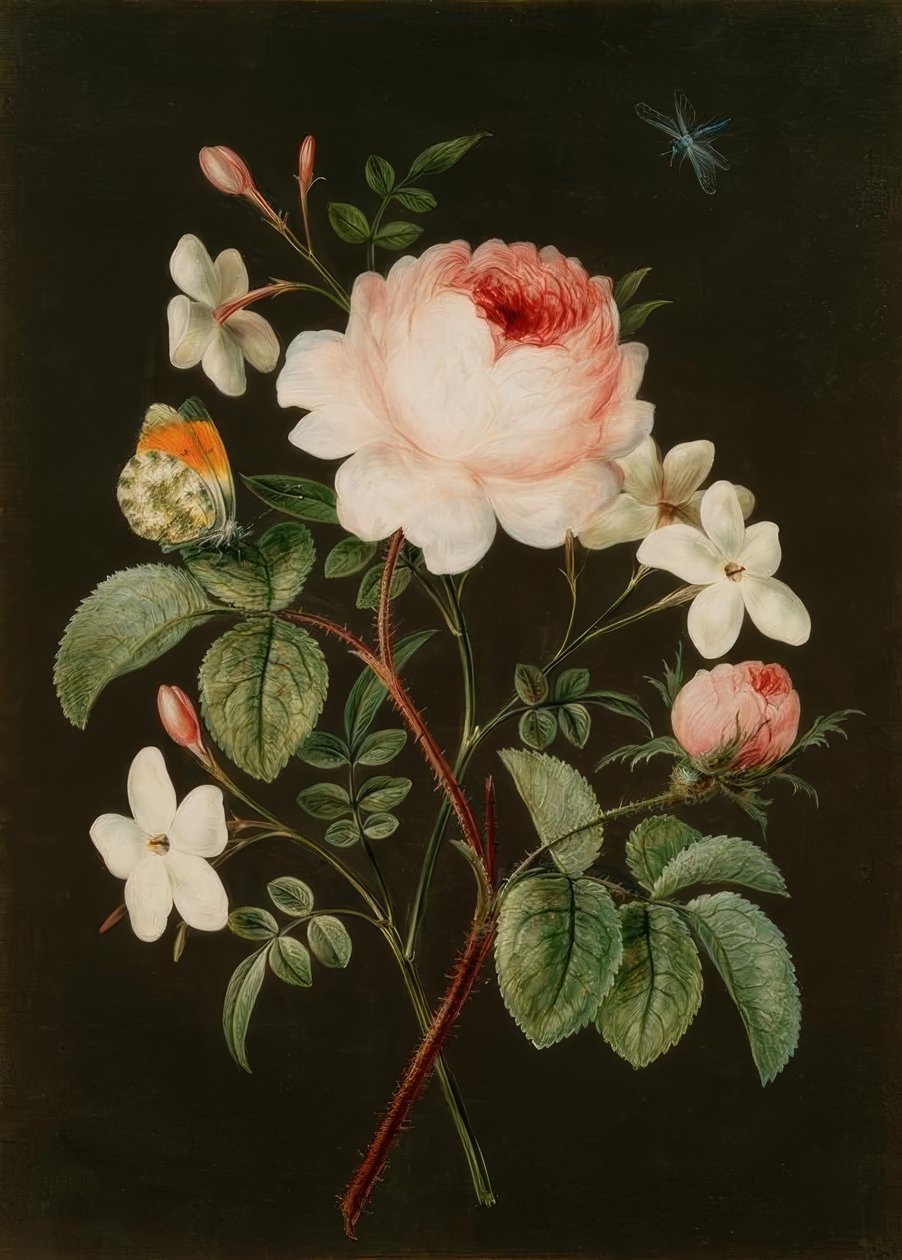 Arrangemang av ros och jasmin av Barbara Regina Dietzsch